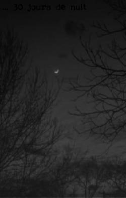 Niedertracht : ...30 Jours de Nuit